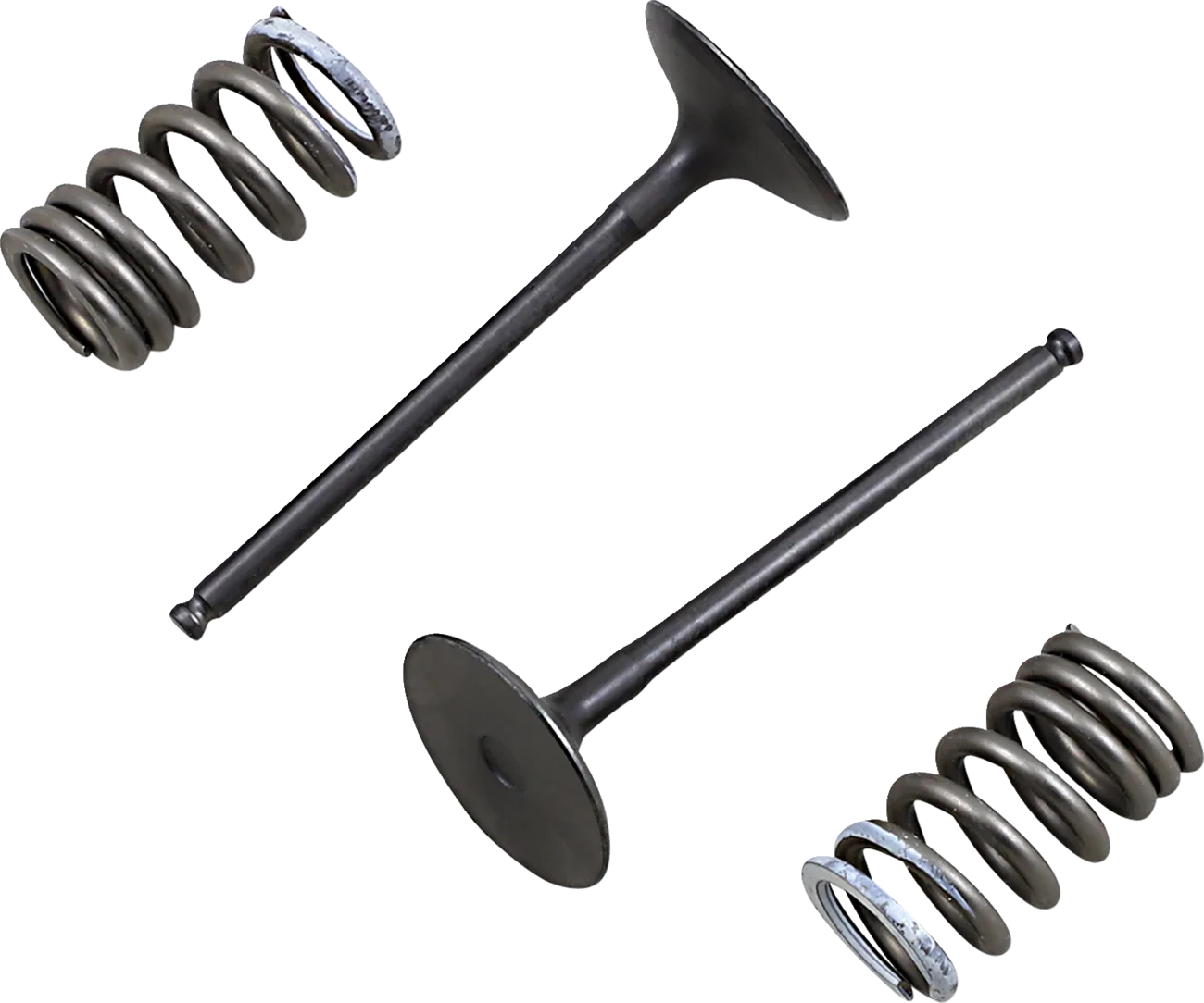 Valve and Spring Kit