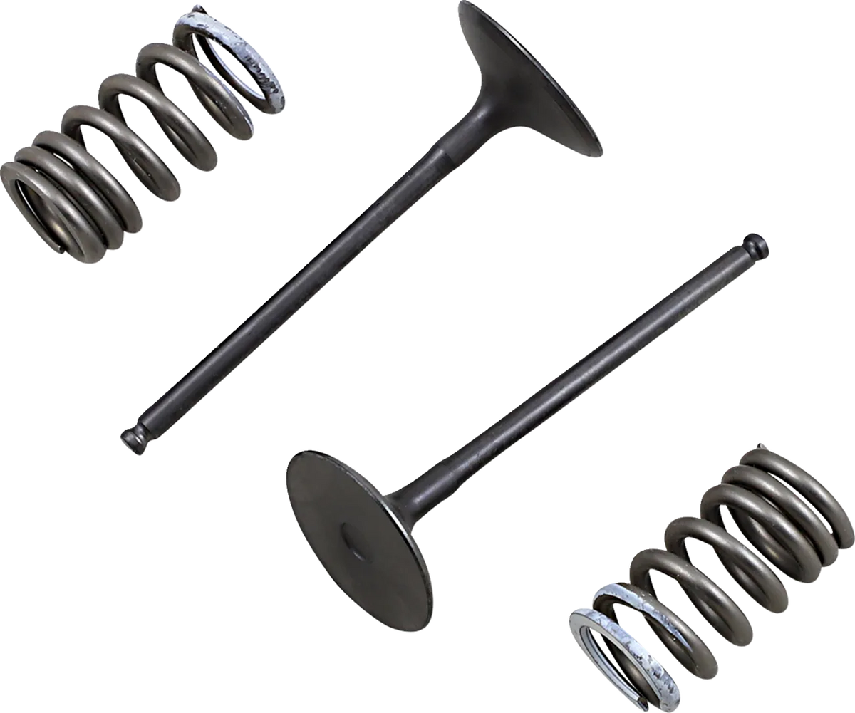 Valve and Spring Kit