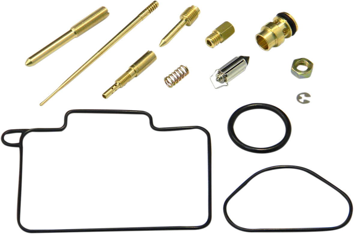 Carburetor Repair Kit