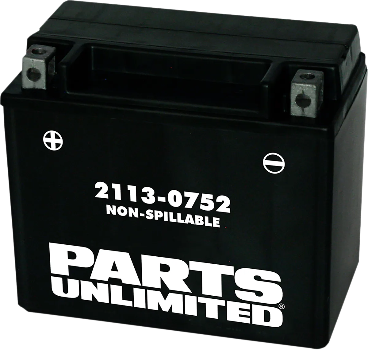AGM Maintenance-Free Battery