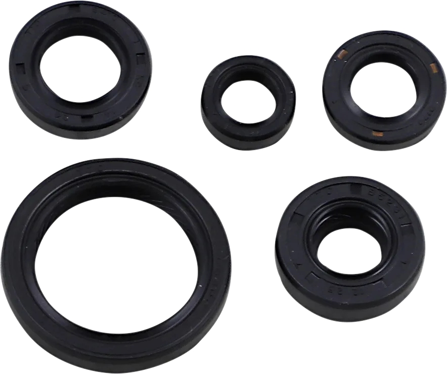 Oil Seal Kit