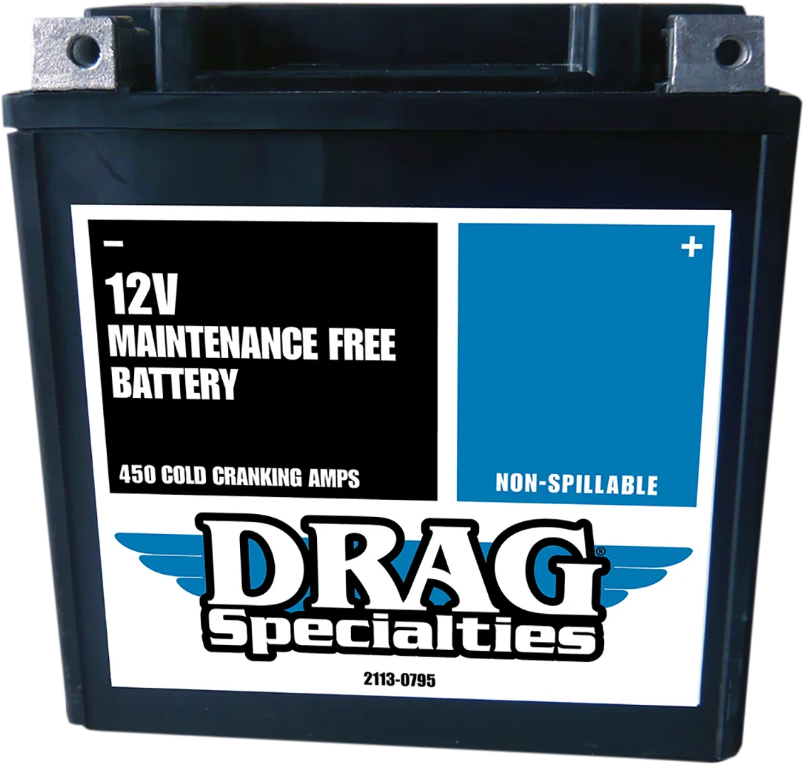 Factory-Activated AGM Maintenance-Free Battery