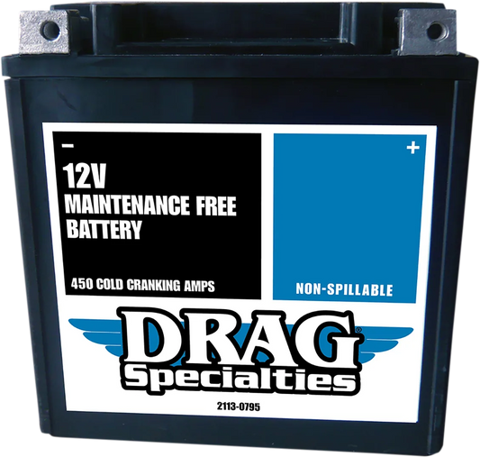Factory-Activated AGM Maintenance-Free Battery