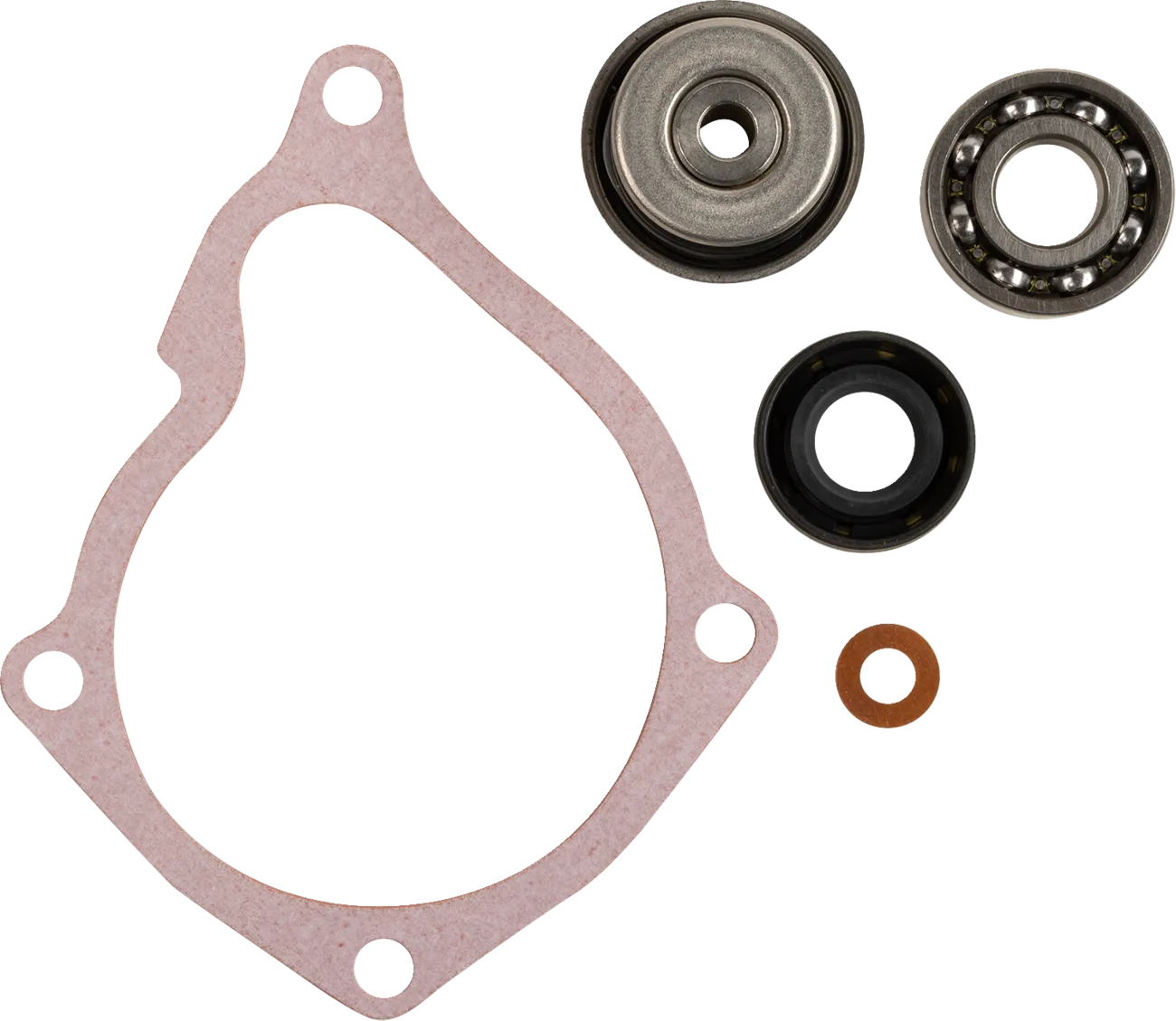 Water Pump Rebuild Kit
