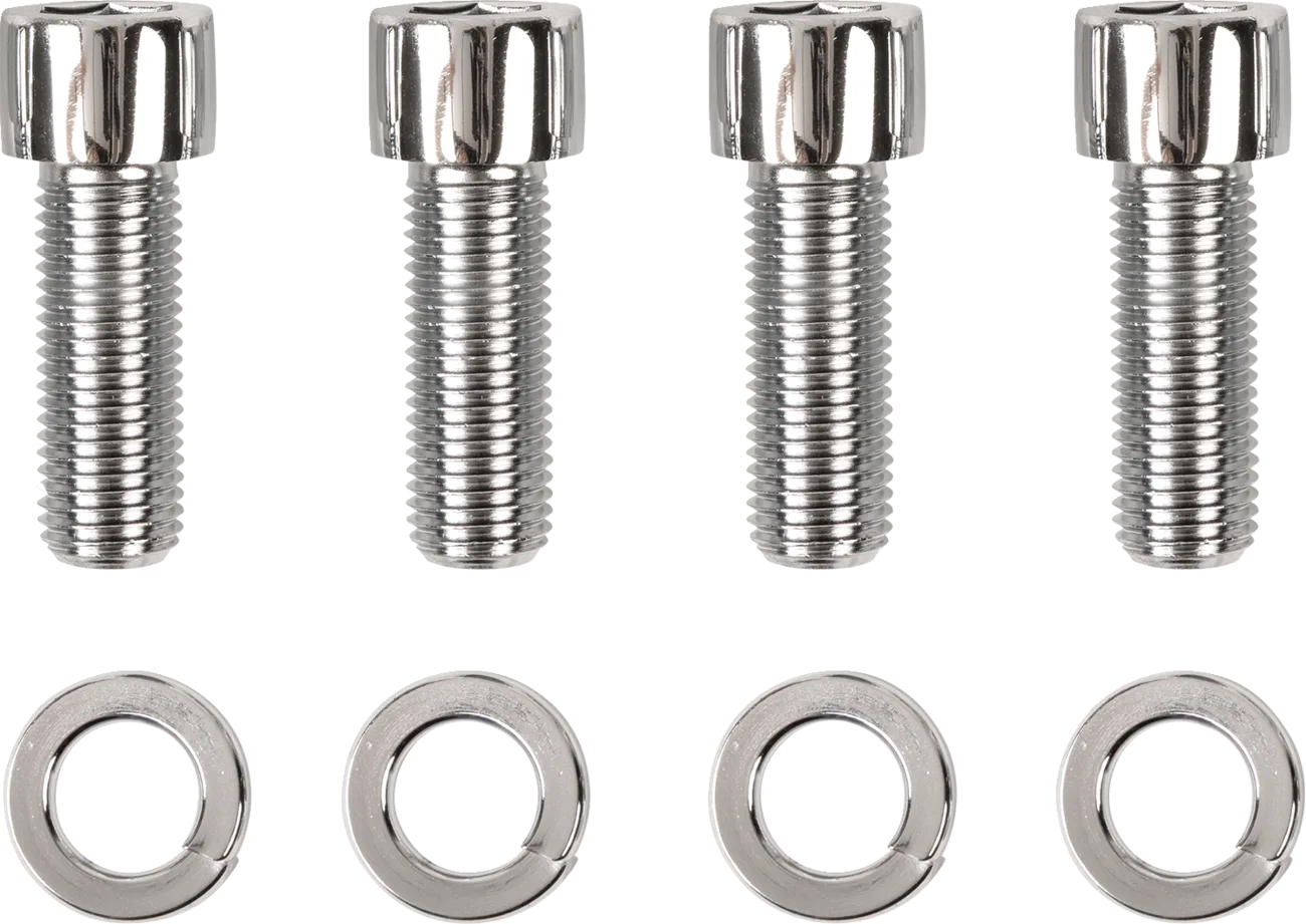 Socket Head Swingarm End Cap Bolt Kit
