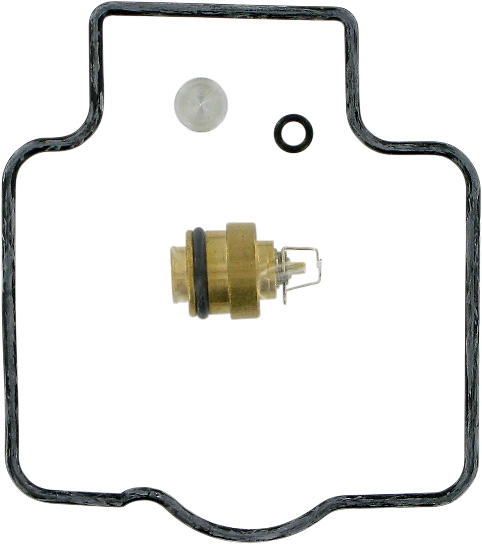 Carburetor Repair Kit