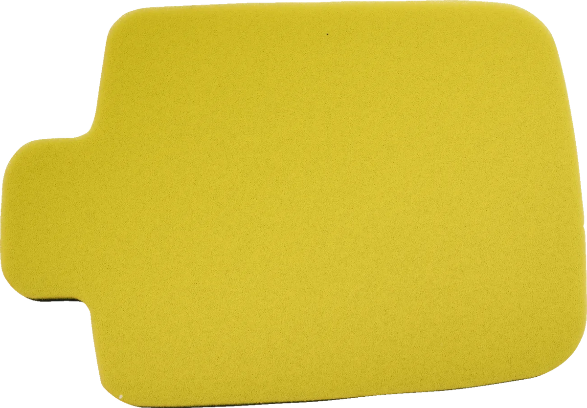 Replacement Air Filter