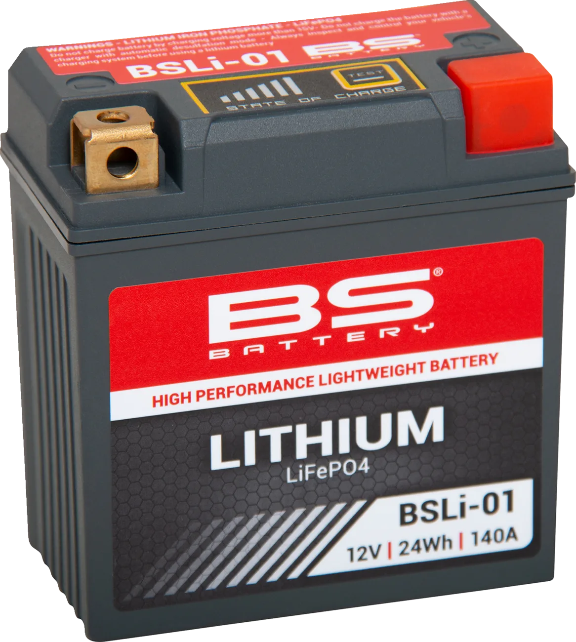 Lithium LiFePO4 Battery