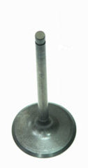 Intake Valve