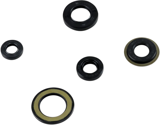 Oil Seal Kit