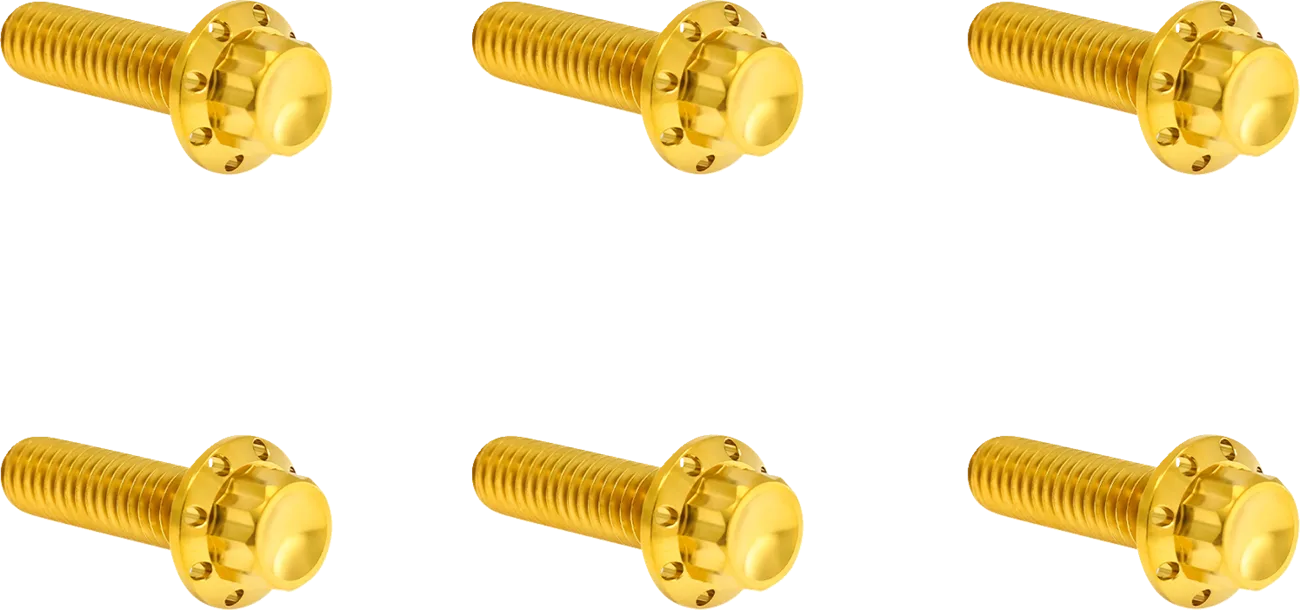 Transmission Top Cover Titanium 12-Point Bolt Kit