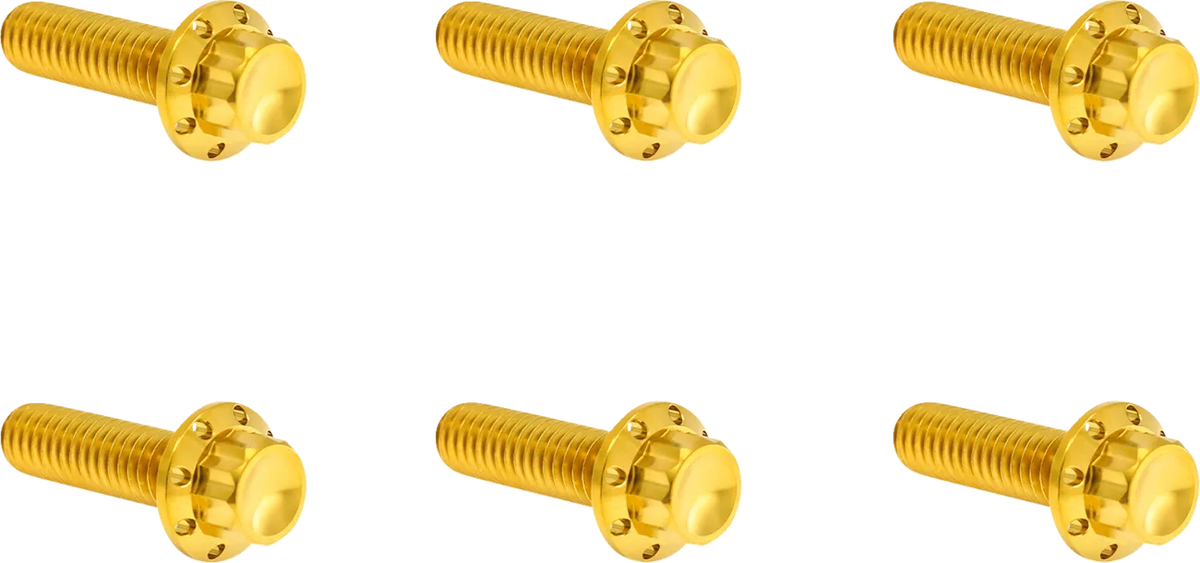 Transmission Top Cover Titanium 12-Point Bolt Kit