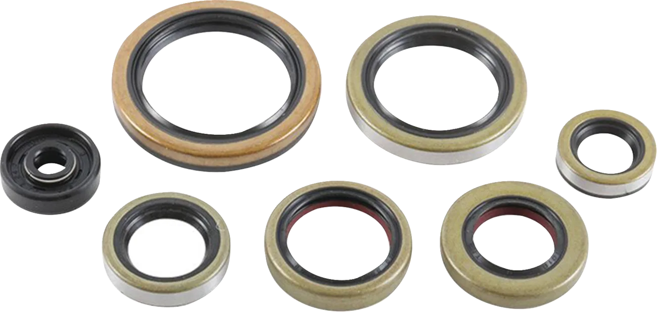 Oil Seal Set