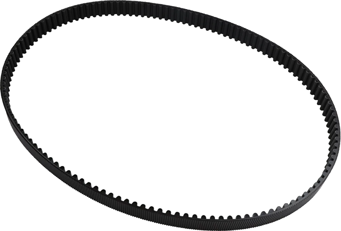 Rear Drive Belt