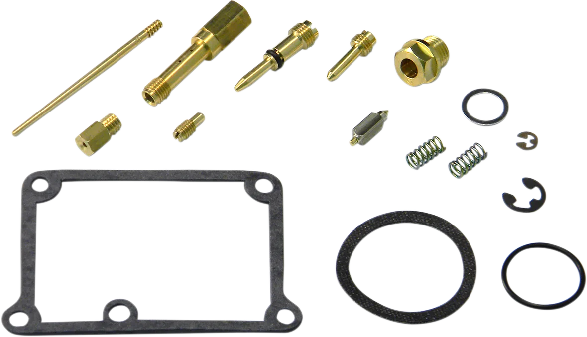 Carburetor Repair Kit