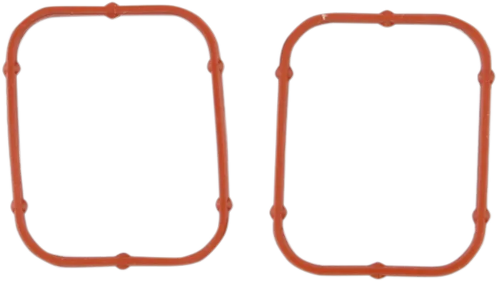 Rocker Gasket