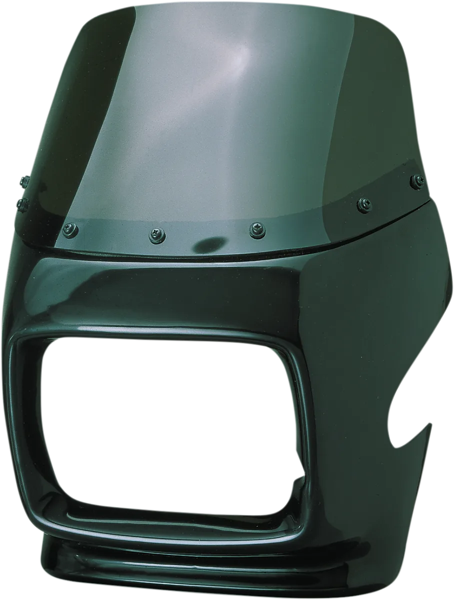GP Universal Sport Fairing with Windshield