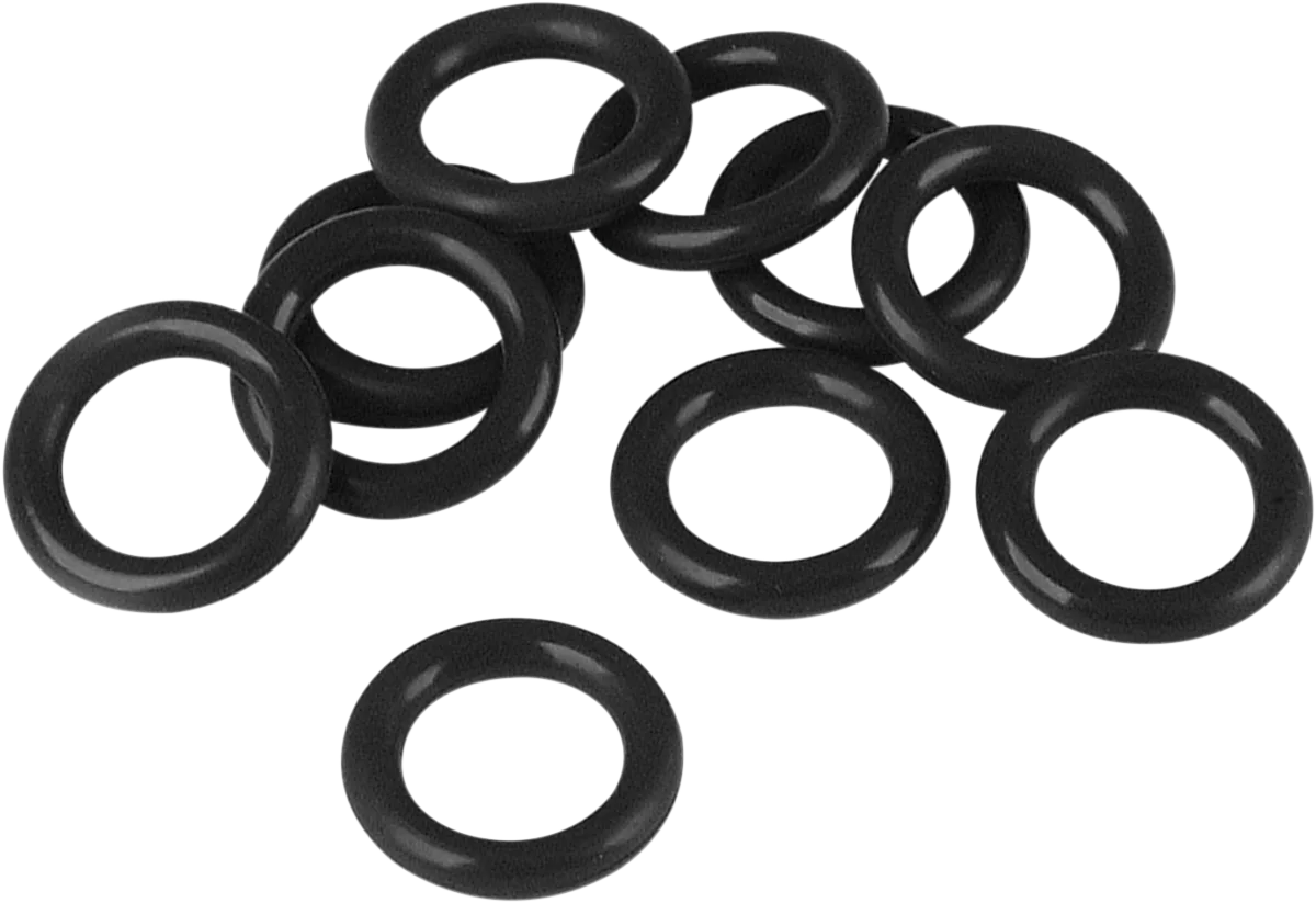 Oil Pump O-Ring