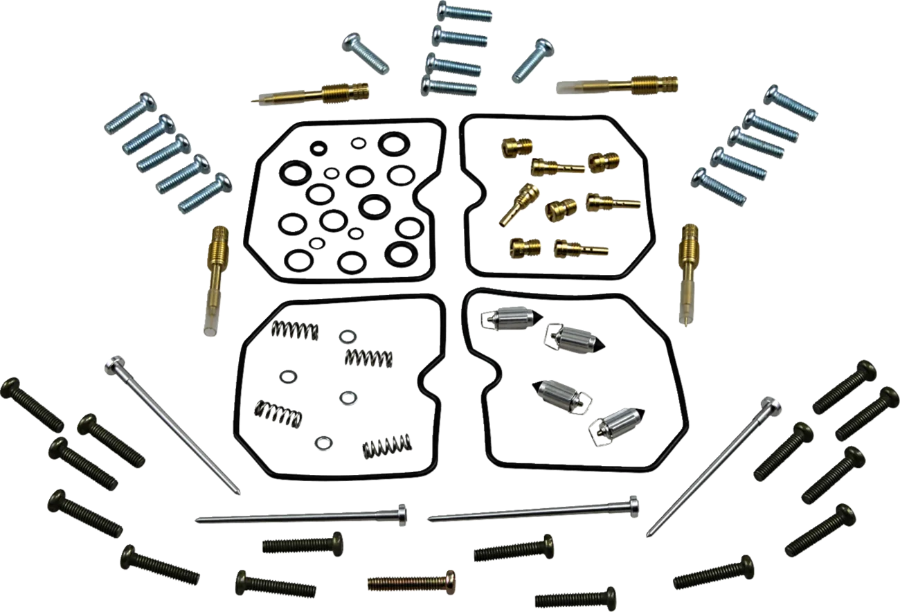 Carburetor Repair Kit