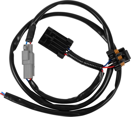 Taillight Wire Harness