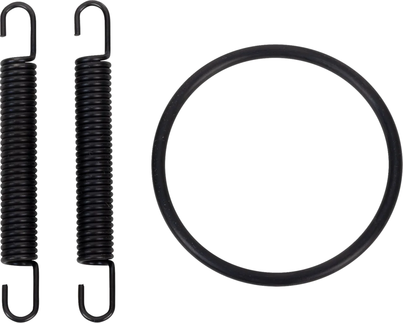 Pipe Spring/O-Ring Kit