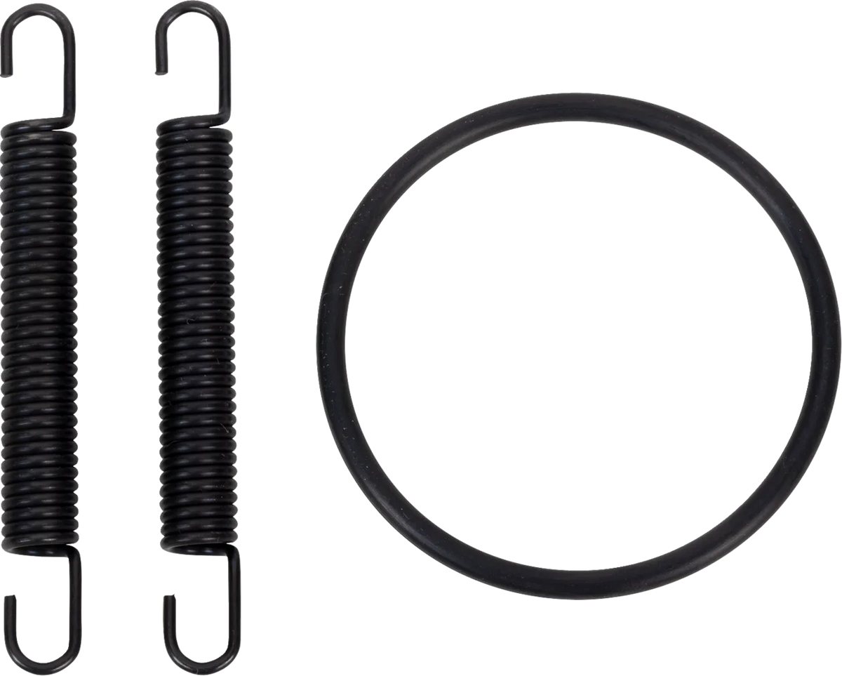 Pipe Spring/O-Ring Kit