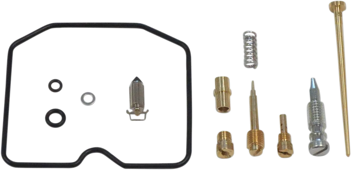 Carburetor Repair Kit