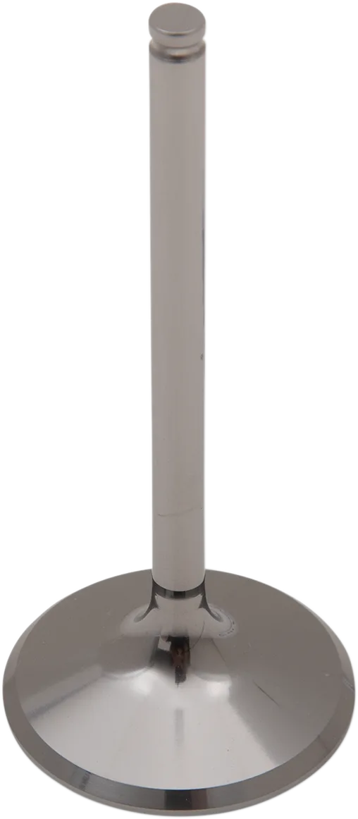 Titanium Engine Valve