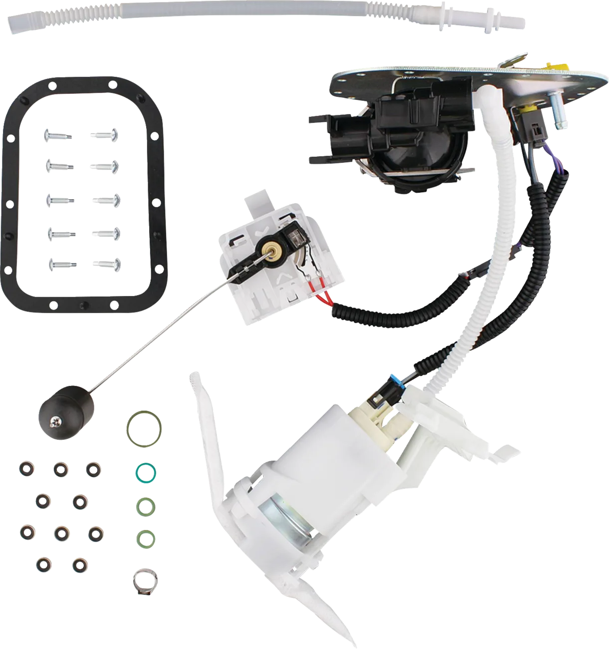 Fuel Pump Module Assembly