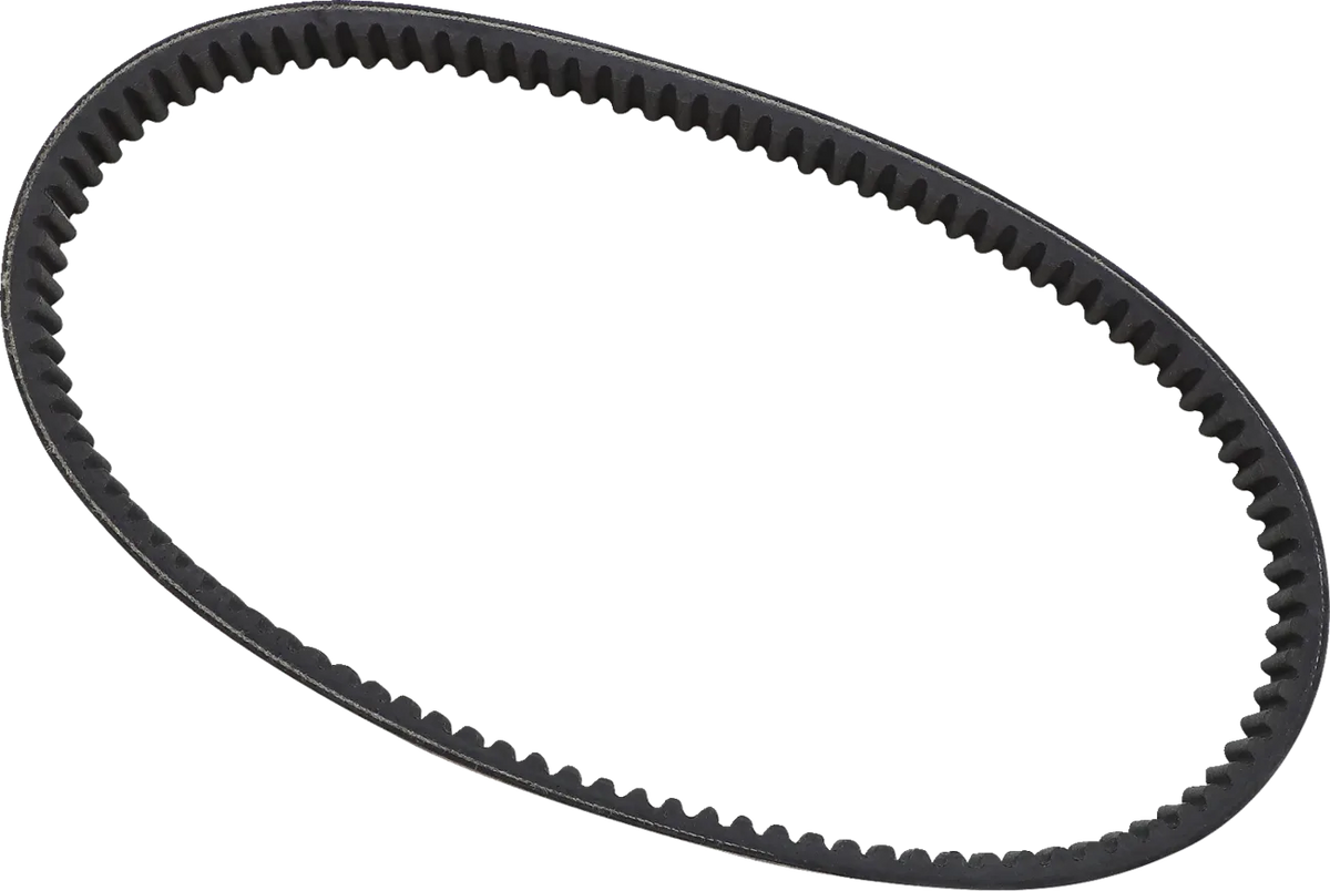 Standard Drive Belt