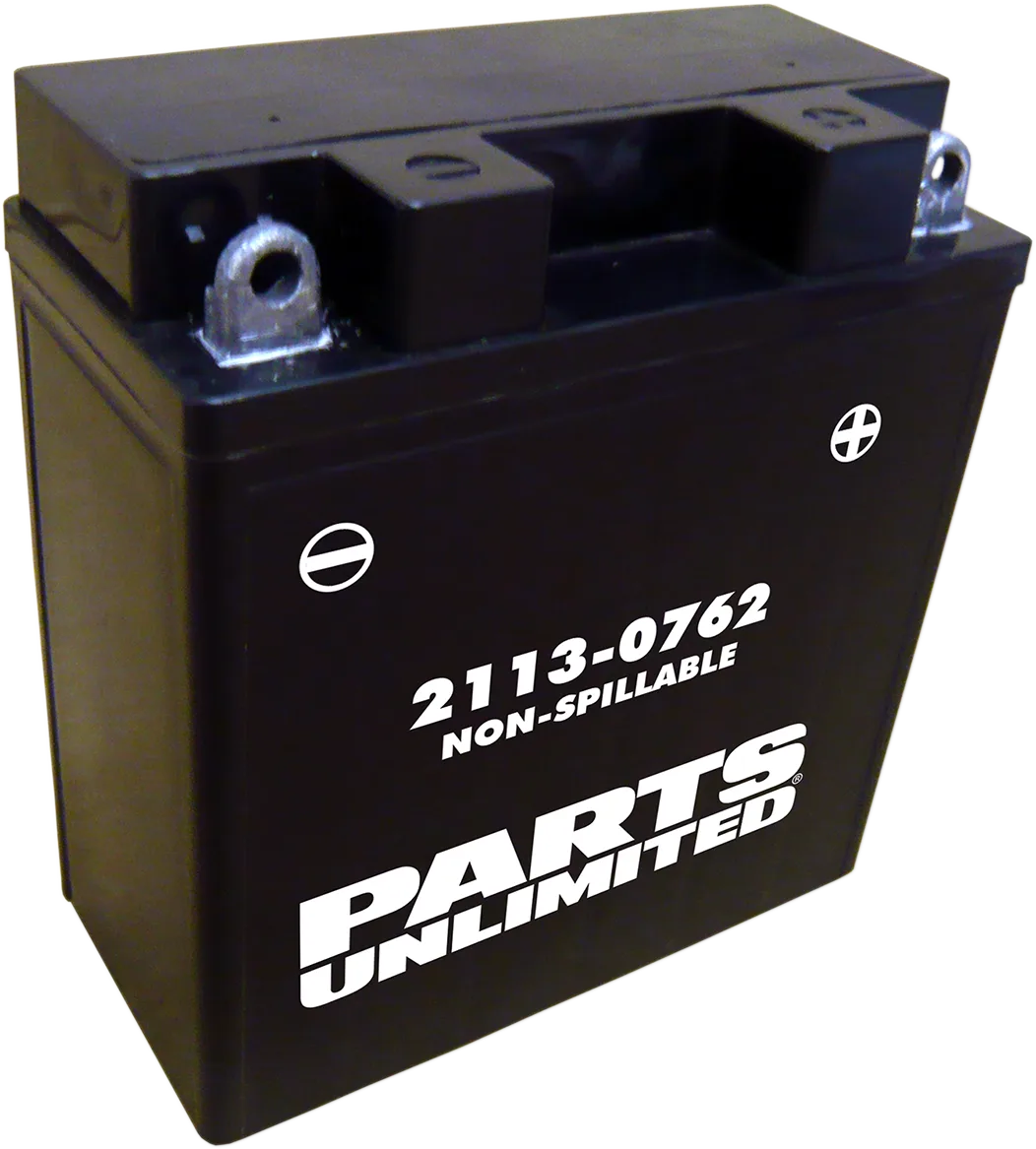 Factory-Activated AGM Maintenance-Free Battery