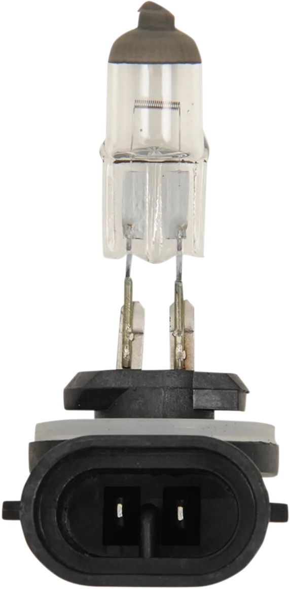 Halogen Bulb