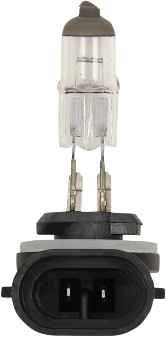 Halogen Bulb