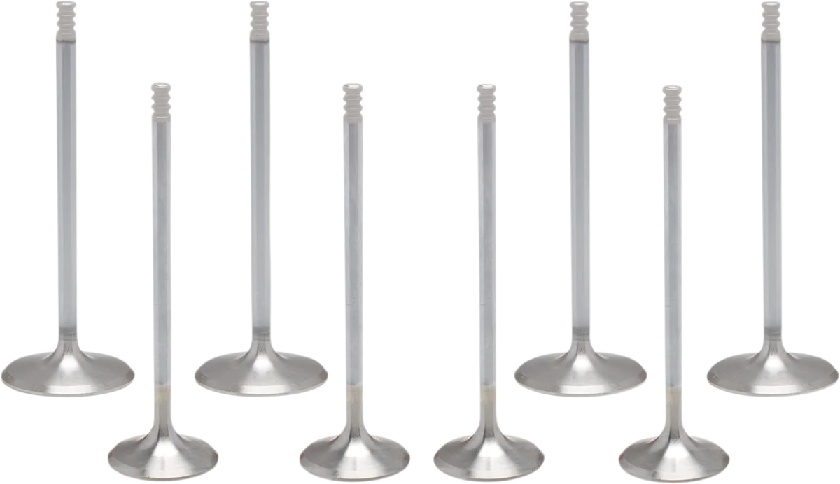White Diamond® Valve Kit