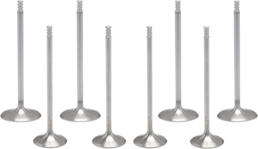 White Diamond® Valve Kit