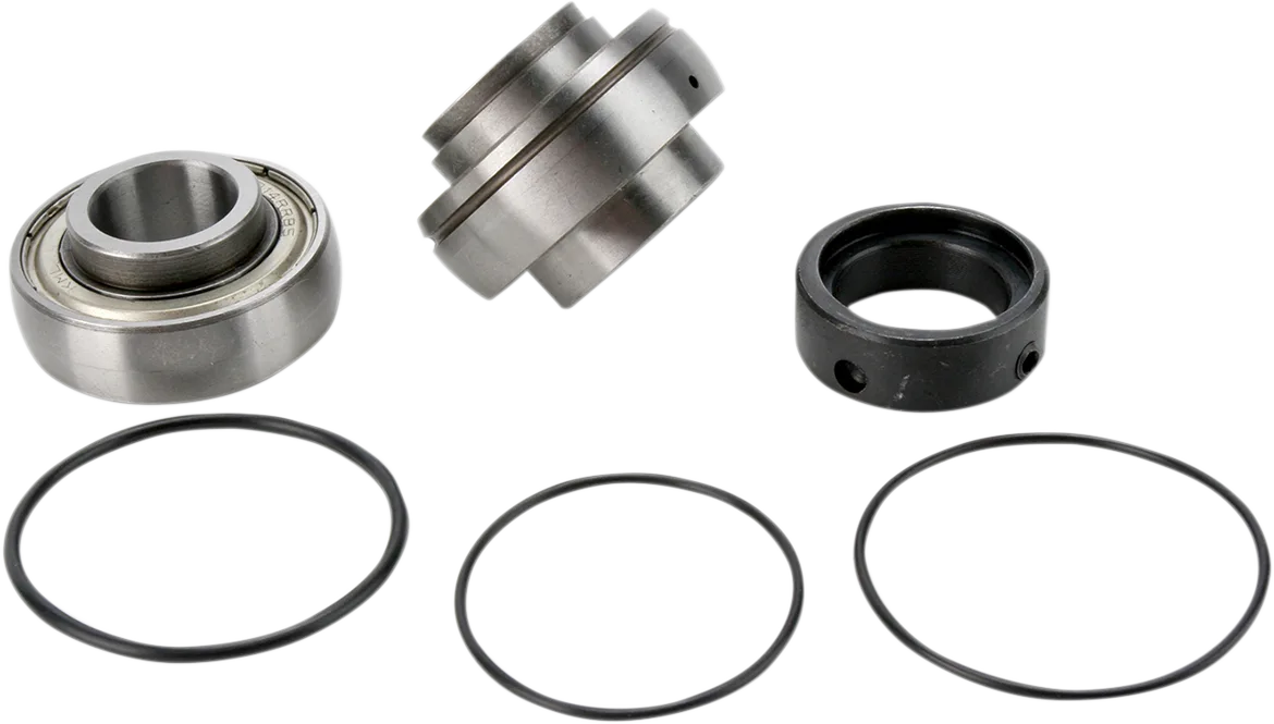 Chain Case Bearing and Seal Kit