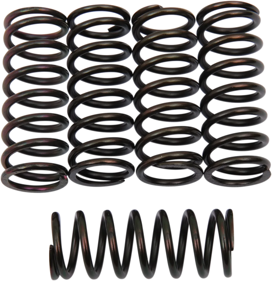 Clutch Spring Kit