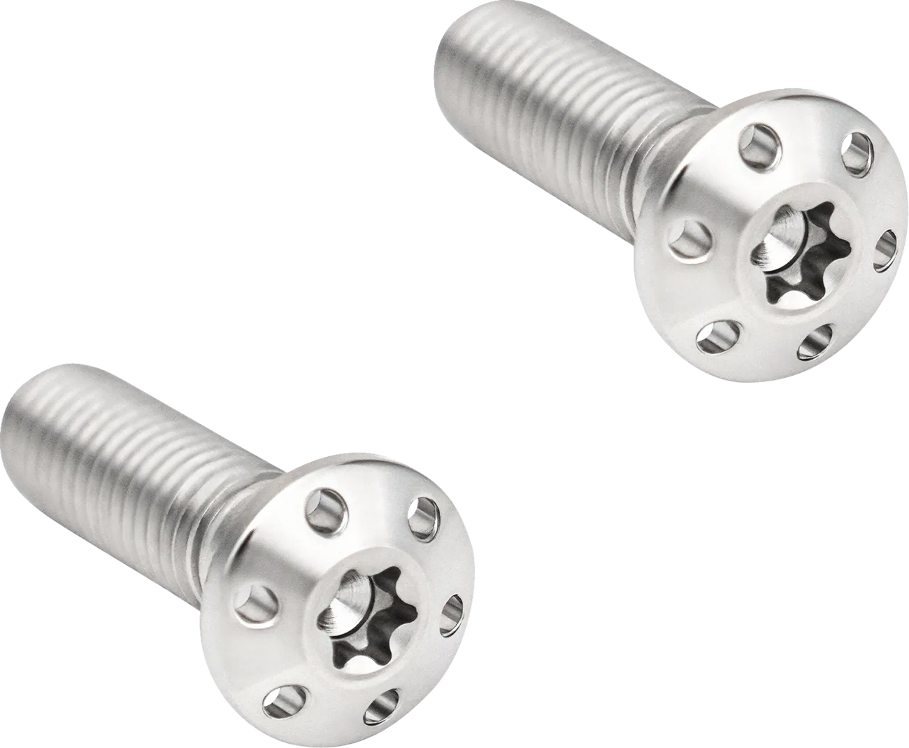 Brake Caliper Mounting Bolts