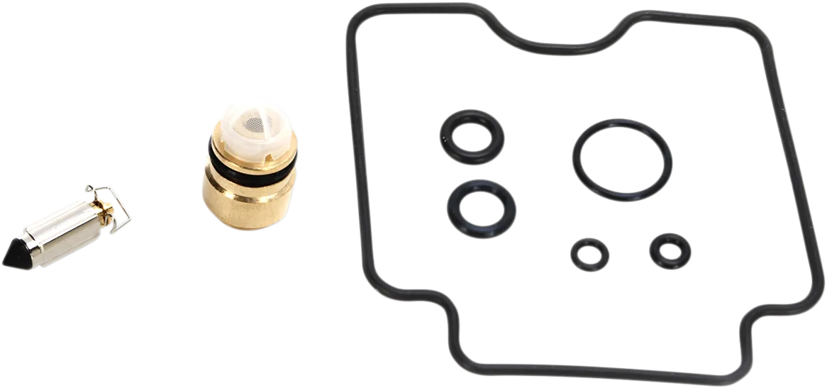 Carburetor Repair Kit