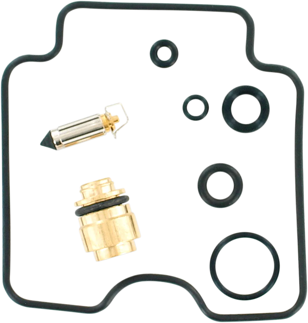 Carburetor Repair Kit