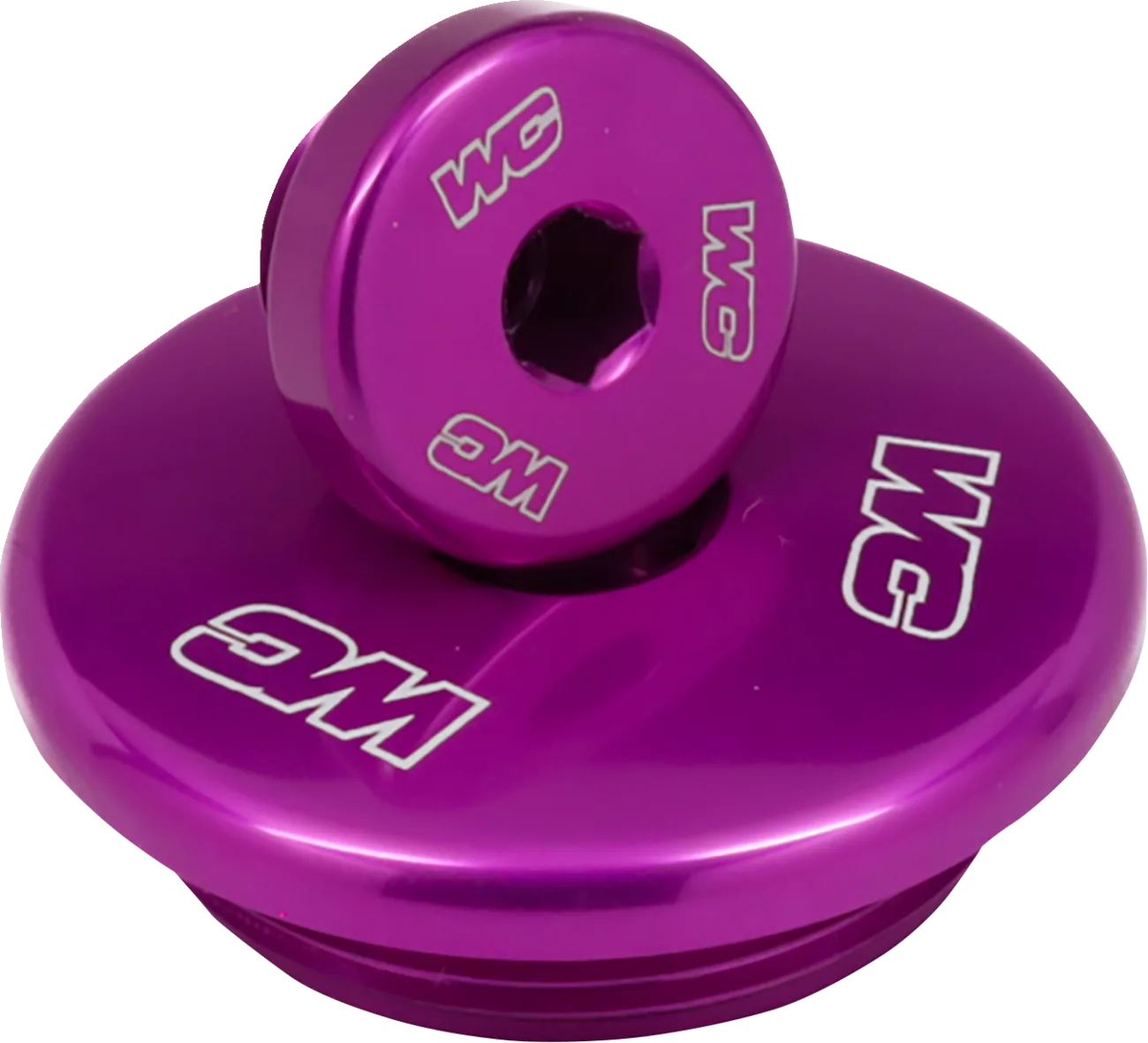 Engine Plug