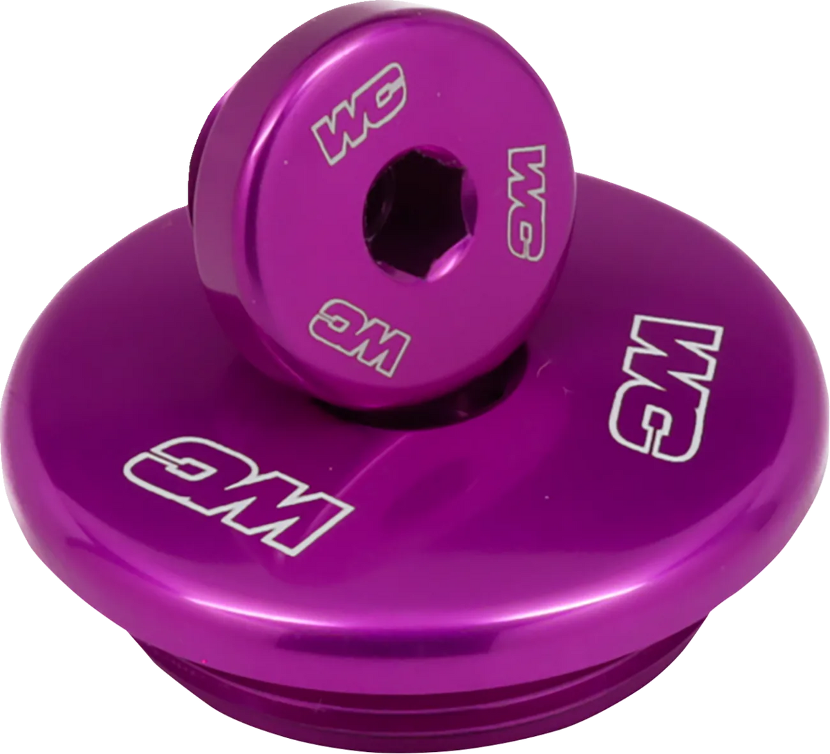 Engine Plug