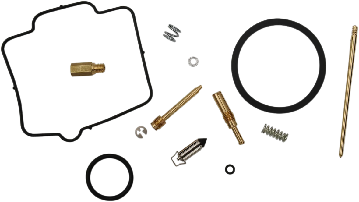 Carburetor Repair Kit