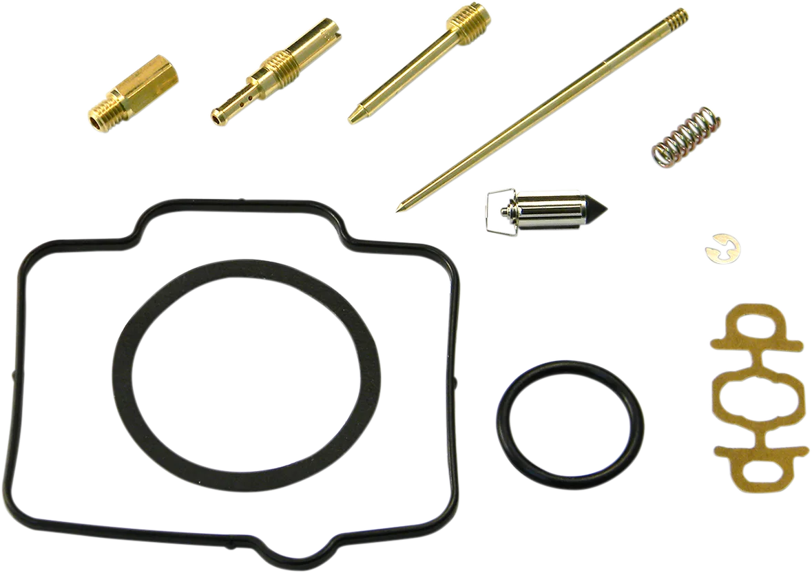 Carburetor Repair Kit