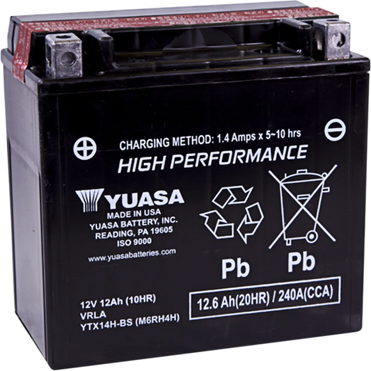 High Performance AGM Maintenance-Free Battery