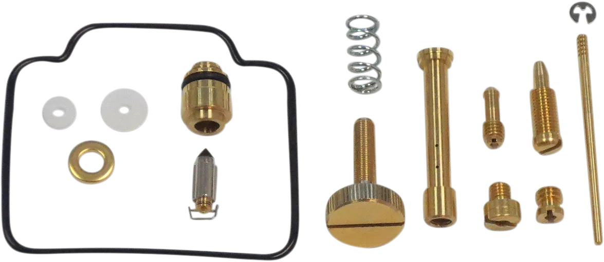 Carburetor Repair Kit