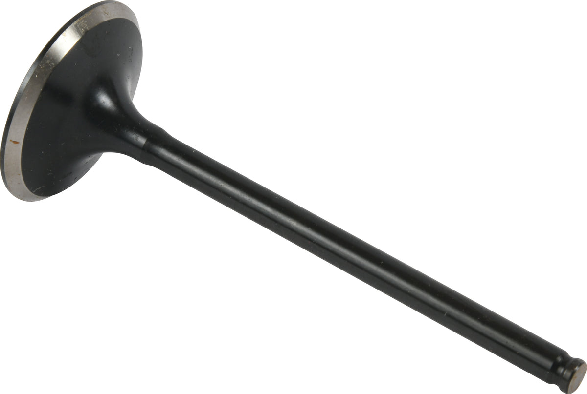 Exhaust Valve