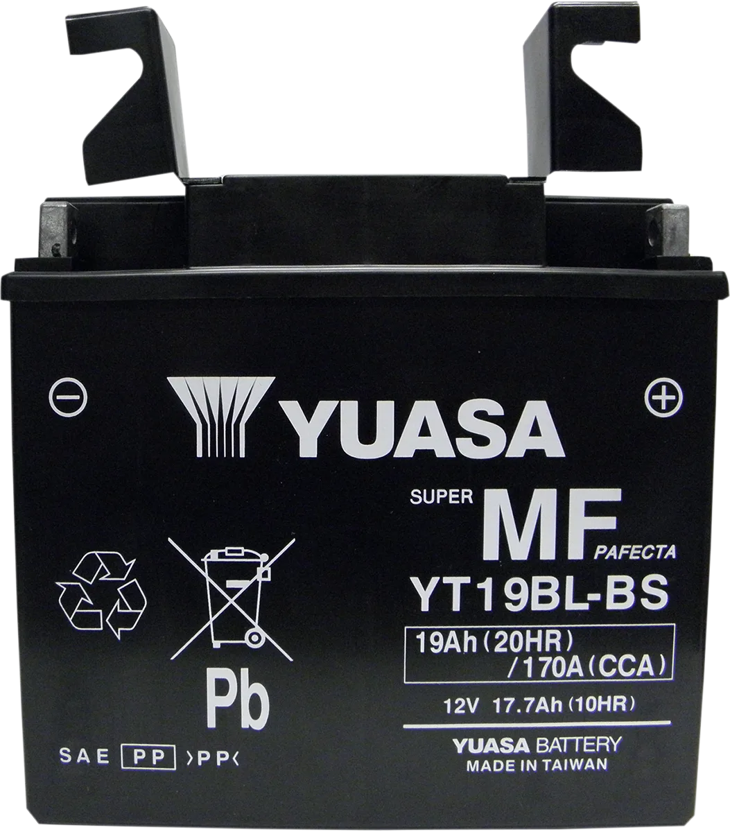 AGM Maintenance-Free Battery