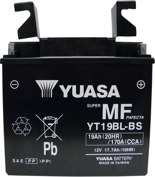 AGM Maintenance-Free Battery