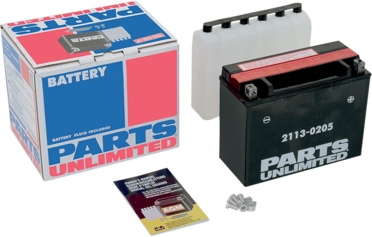 AGM Maintenance-Free Battery